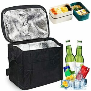 Nevera Isotermica 10L,Bolsa Térmica Plegable, para Picnic, Camping, Almuerzo, Bolsa Refrigeradora Portatil para Comida, Playa (Negro)