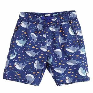 LACOFIA Pantalones Cortos de baño para niños Bañador de Playa con Cintura elástica para niños Tiburón Gris 10-12 años